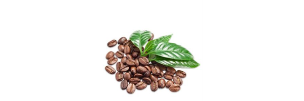 Ganze Kaffeebohnen